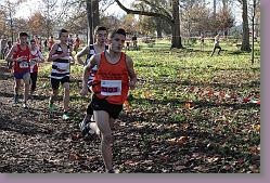 Begles 15.12.13 01 571 * 679 x 453 * (225KB)